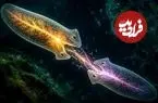آیا می‌شود حافظه را خورد؟ معمای کرم‌هایی که علوم اعصاب را به چالش کشیدند