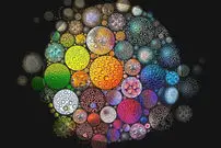 انقلاب در درک انرژی؛ بازنویسی میراث ۸۰ ساله‌ی زیست‌شناسان