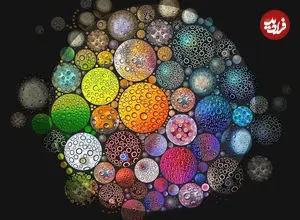 انقلاب در درک انرژی؛ بازنویسی میراث ۸۰ ساله‌ی زیست‌شناسان