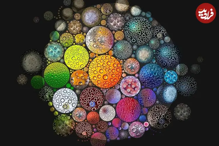 انقلاب در درک انرژی؛ بازنویسی میراث ۸۰ ساله‌ی زیست‌شناسان