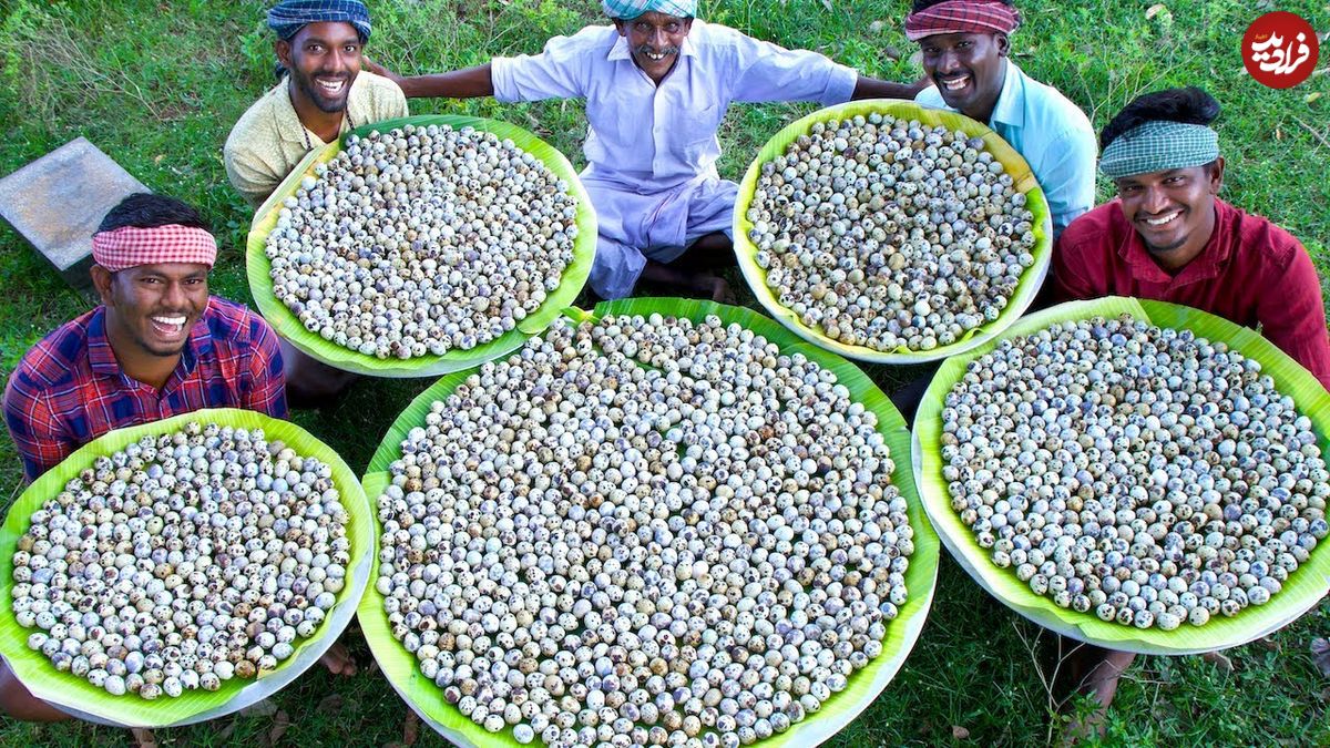 ببینید؛ غذای روستایی در هند؛ پخت غذا با 3 هزار تخم بلدرچین به روش باستانی در گِل