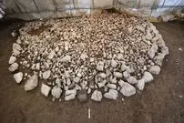 کشف مقبرۀ 2600 ساله در یکی از روستاهای سوییس