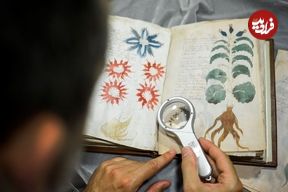 تصاویر؛ راز ۵۰۰ ساله؛ این کتاب با کلمات بیگانه نوشته شده است!