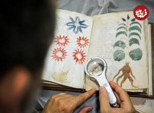 تصاویر؛ راز ۵۰۰ ساله؛ این کتاب با کلمات بیگانه نوشته شده است!