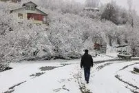 ببینید| بارش برف در پردیس تهران در شب زمستانی