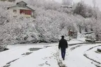 ببینید| بارش برف در پردیس تهران در شب زمستانی