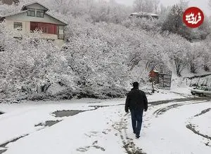 ببینید| بارش برف در پردیس تهران در شب زمستانی