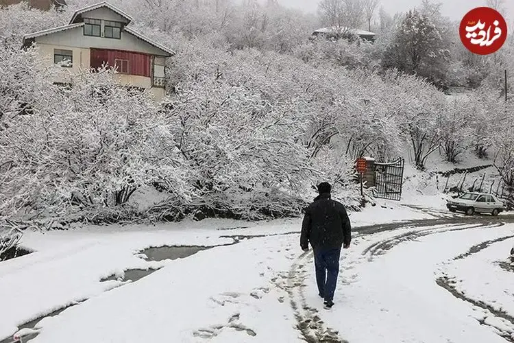 ببینید| بارش برف در پردیس تهران در شب زمستانی