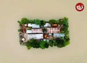 8 عکس فینالیست در جوایز عکاسی سونی