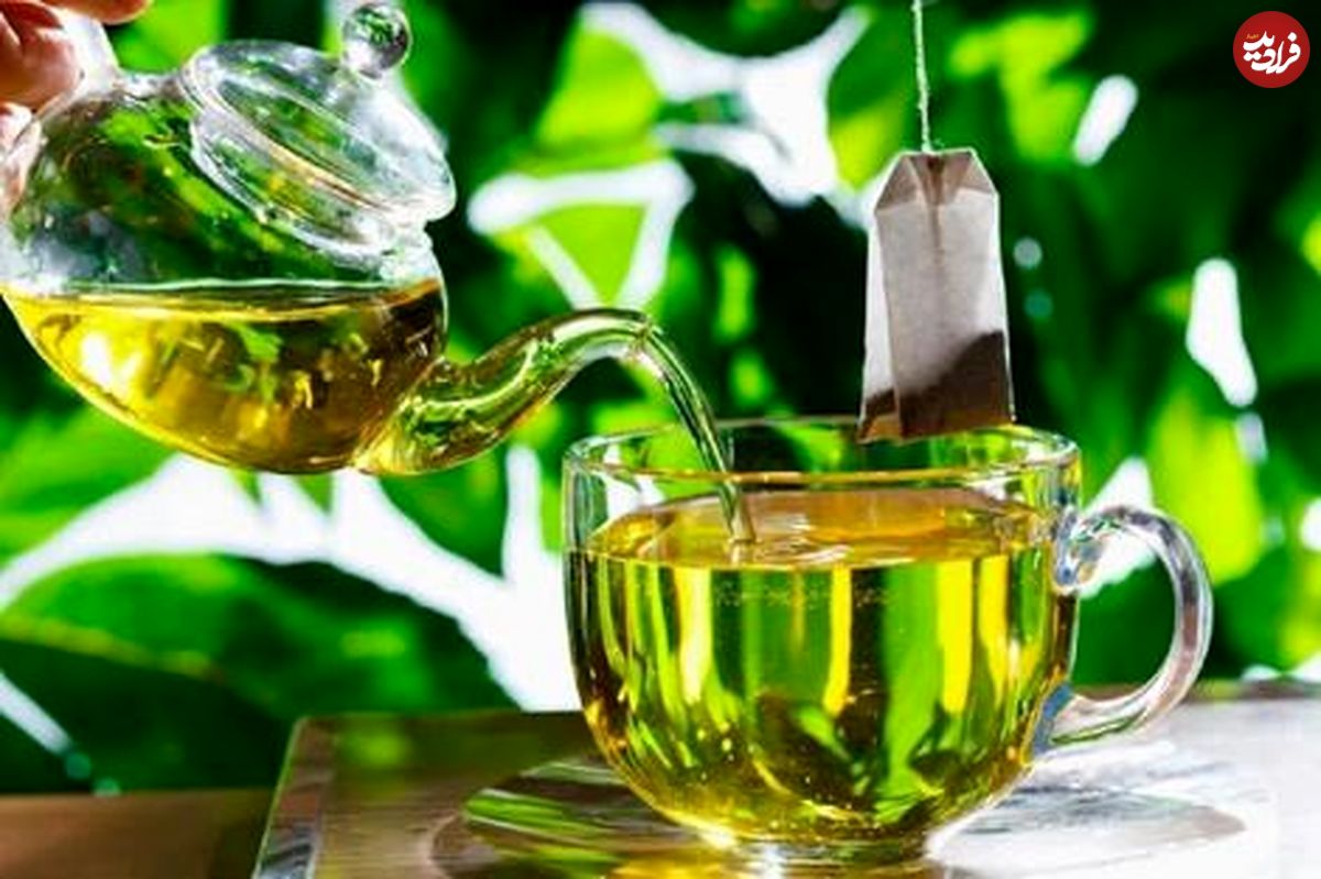 فواید چای سبز چیست؟ ( طبع چای سبز + انواع خاصیت چای سبز ) 