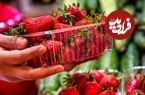 این میوه داروی درمان کبد چرب و دیابت است