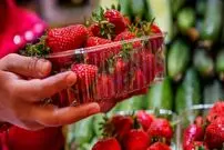 این میوه داروی درمان کبد چرب و دیابت است