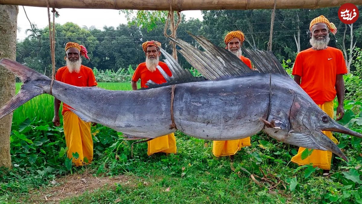 (ویدئو) غذای روستایی؛ پخت شمشیر ماهی غول پیکر توسط این چهار پدربزرگ هندی
