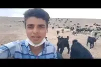 (ویدئو) اجرای تصنیف برف پیری با صدای بی نظیر یک چوپان جوان