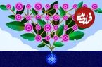 فیزیک عجیبی که مغز ماشین را بیدار کرد