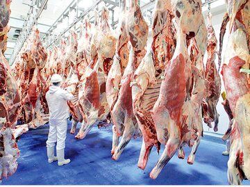 لاشه گوساله کیلویی ۲۸۰ هزار تومان شد؛ جزییات تغییر قیمت گوشت