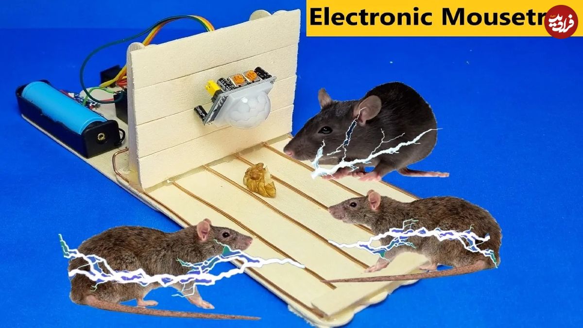 (ویدئو) با چوب بستنی و کابل به راحتی این تله موش برقی جالب را بسازید