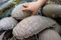 ببینید| غذای خیابانی در ویتنام؛ تهیه غذا با ایزوپادهای غول پیکر در هانوی