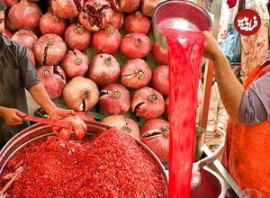 ببینید| غذای خیابانی در پاکستان؛ تهیه آب انار، هلو، آلو، انگور و پرتقال در کراچی