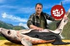 (ویدئو) کباب کردن گران ترین ماهی دریای خزر به سبک آشپز روستایی آذربایجانی