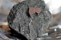 (عکس) گنج ارزشمندی که در خانه زیر پا افتاده بود