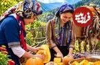 ببینید| غذای روستایی در ایران؛ پخت پلو مخلوط با کدو تنبل و ماهی دودی در روستایی سرسبز