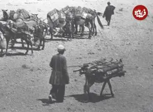 عکس| سفر زمان؛ تصویری از اردوی سلطنتی در کنار باغ‌های «رباط کریم»