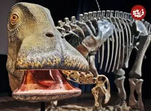 «گاو ماقبل تاریخ»؛ دایناسوری با ۵۰۰ دندان و دهانی شبیه جاروبرقی