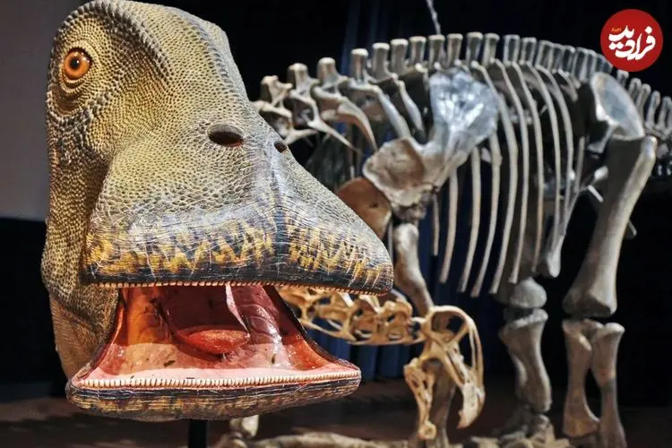 «گاو ماقبل تاریخ»؛ دایناسوری با ۵۰۰ دندان و دهانی شبیه جاروبرقی