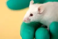 آزمایش یک واکسن استثنایی که می‌تواند جلوی چندین بیماری و آلرژی را بگیرد