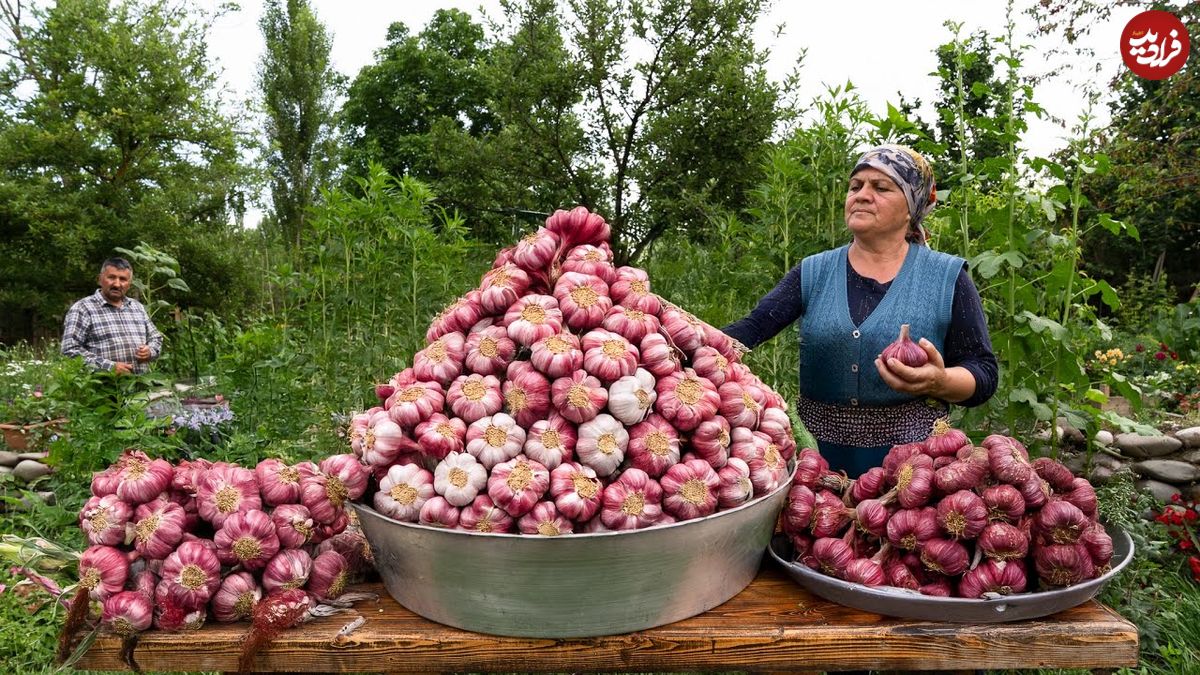 ببینید؛ غذای روستایی در آذربایجان؛ برداشت سیر تازه و کباب گوشت و بادمجان در روستا