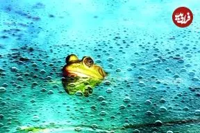 اثر قورباغه آب‌پز؛ وابستگی به هوش مصنوعی توانایی ذهن را به مرور کاهش می‌دهد