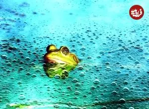 اثر قورباغه آب‌پز؛ وابستگی به هوش مصنوعی توانایی ذهن را به مرور کاهش می‌دهد