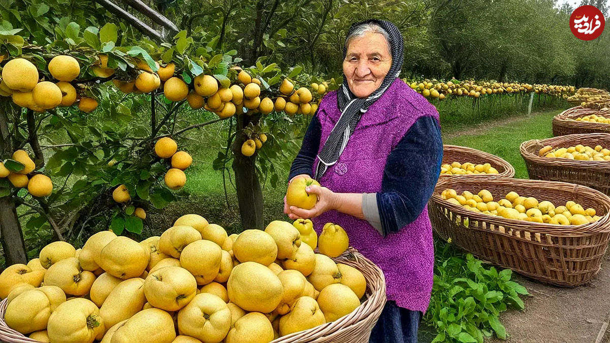 (ویدئو) برداشت «به» تازه و تهیه مربا و کیک به روش مادر بزرگ آذربایجانی