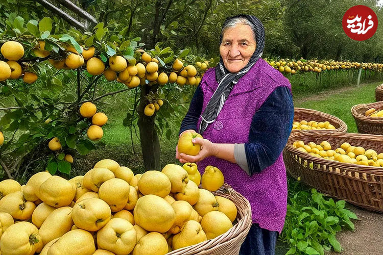 (ویدئو) برداشت «به» تازه و تهیه مربا و کیک به روش مادر بزرگ آذربایجانی