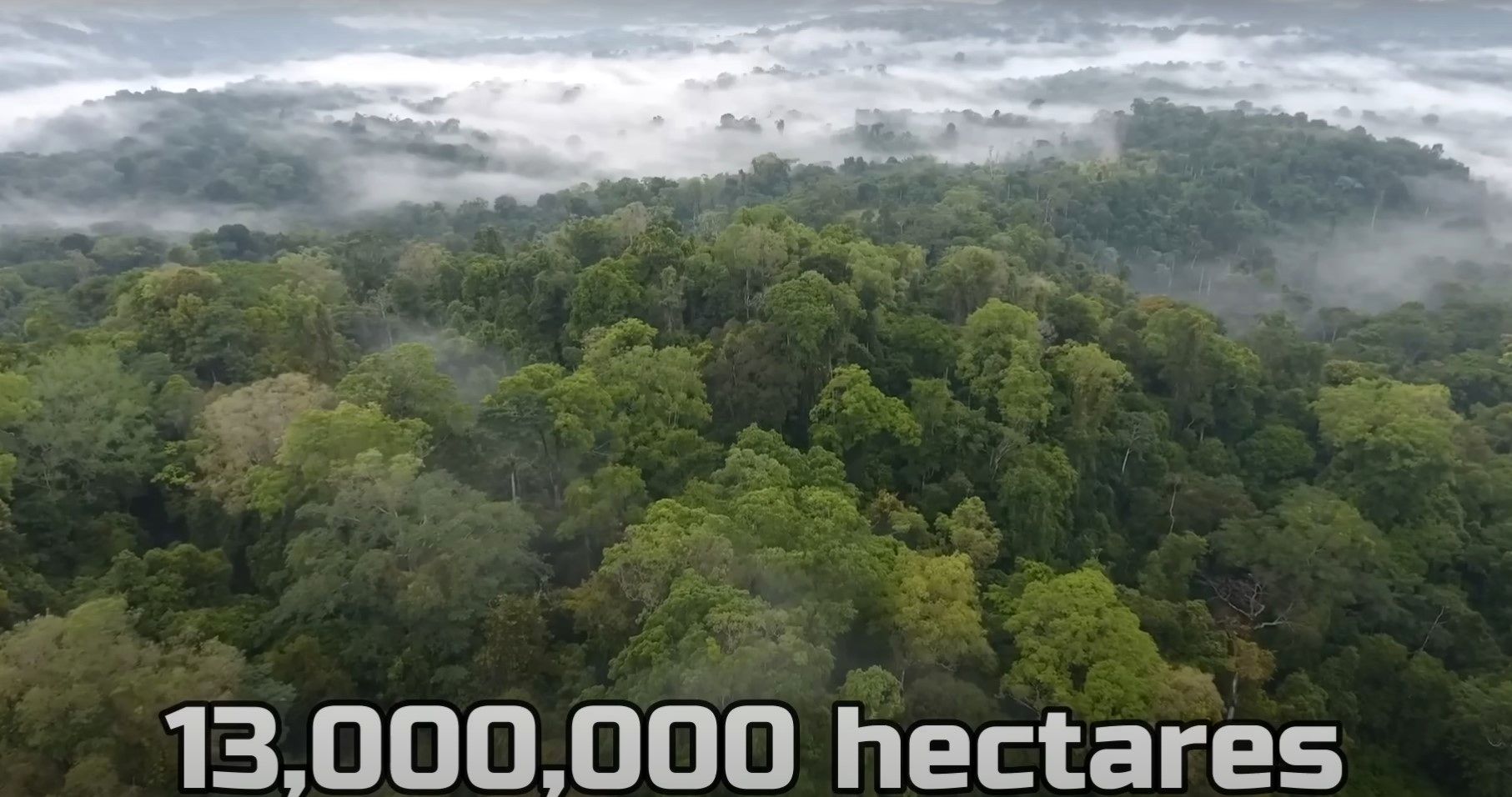 (ویدئو) چین چگونه بیابان هایش را به جنگل تبدیل کرد؟