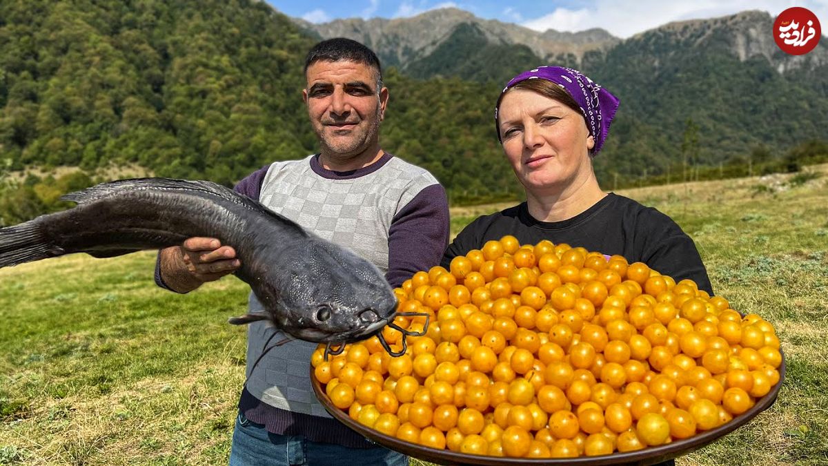 ببینید| غذای روستایی در آذربایجان؛ برداشت آلوچه و تهیه مربا و کباب گربه ماهی
