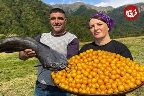 ببینید| غذای روستایی در آذربایجان؛ برداشت آلوچه و تهیه مربا و کباب گربه ماهی