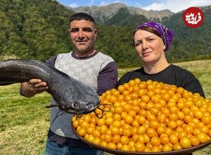 ببینید| غذای روستایی در آذربایجان؛ برداشت آلوچه و تهیه مربا و کباب گربه ماهی