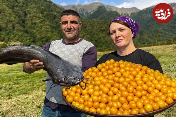 ببینید| غذای روستایی در آذربایجان؛ برداشت آلوچه و تهیه مربا و کباب گربه ماهی