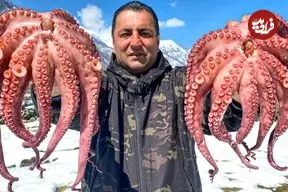 ببینید| غذای روستایی در آذربایجان؛ پخت یک غذای متفاوت با اختاپوس