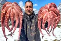 ببینید| غذای روستایی در آذربایجان؛ پخت یک غذای متفاوت با اختاپوس