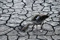 قرن خشکی در راه است؛ بهره‌برداری۸۰ درصدی ایران از منابع آب‌های زیرزمینی