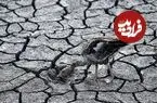 قرن خشکی در راه است؛ بهره‌برداری۸۰ درصدی ایران از منابع آب‌های زیرزمینی
