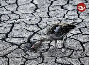 قرن خشکی در راه است؛ بهره‌برداری۸۰ درصدی ایران از منابع آب‌های زیرزمینی