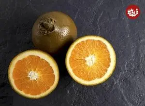 تصاویر| پرتقال شکلاتی؛ عجیب‌ترین پرتقال دنیا با طعم و بوی شکلات که در ایران نیز قابلیت کشت دارد و قیمت هر کیلوگرم آن تا ۶ میلیون تومان می‌رسد