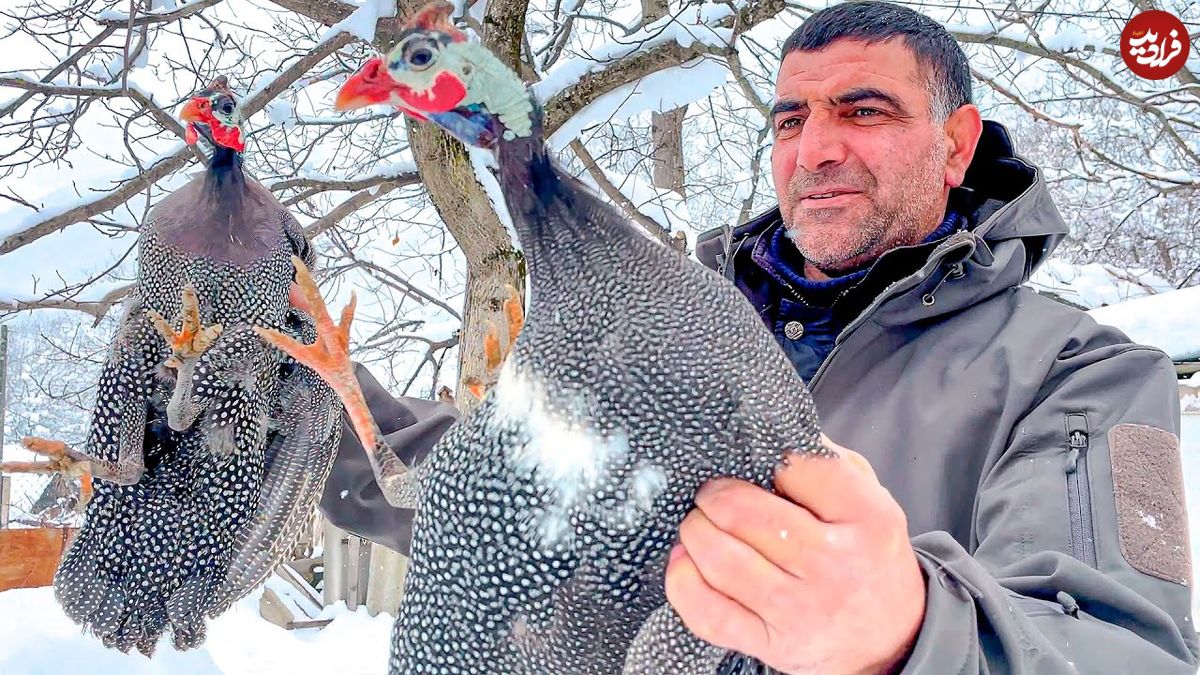 ببینید؛ غذای روستایی در آذربایجان؛ کباب مرغ شاخدار در هوای برفی کوهستان