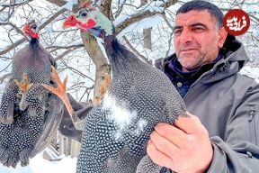 ببینید؛ غذای روستایی در آذربایجان؛ کباب مرغ شاخدار در هوای برفی کوهستان