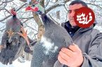 ببینید؛ غذای روستایی در آذربایجان؛ کباب مرغ شاخدار در هوای برفی کوهستان