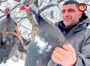 ببینید؛ غذای روستایی در آذربایجان؛ کباب مرغ شاخدار در هوای برفی کوهستان
